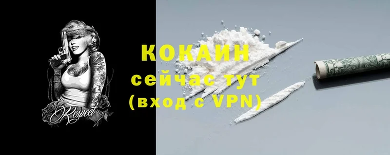 Кокаин FishScale  где купить   Нефтегорск 